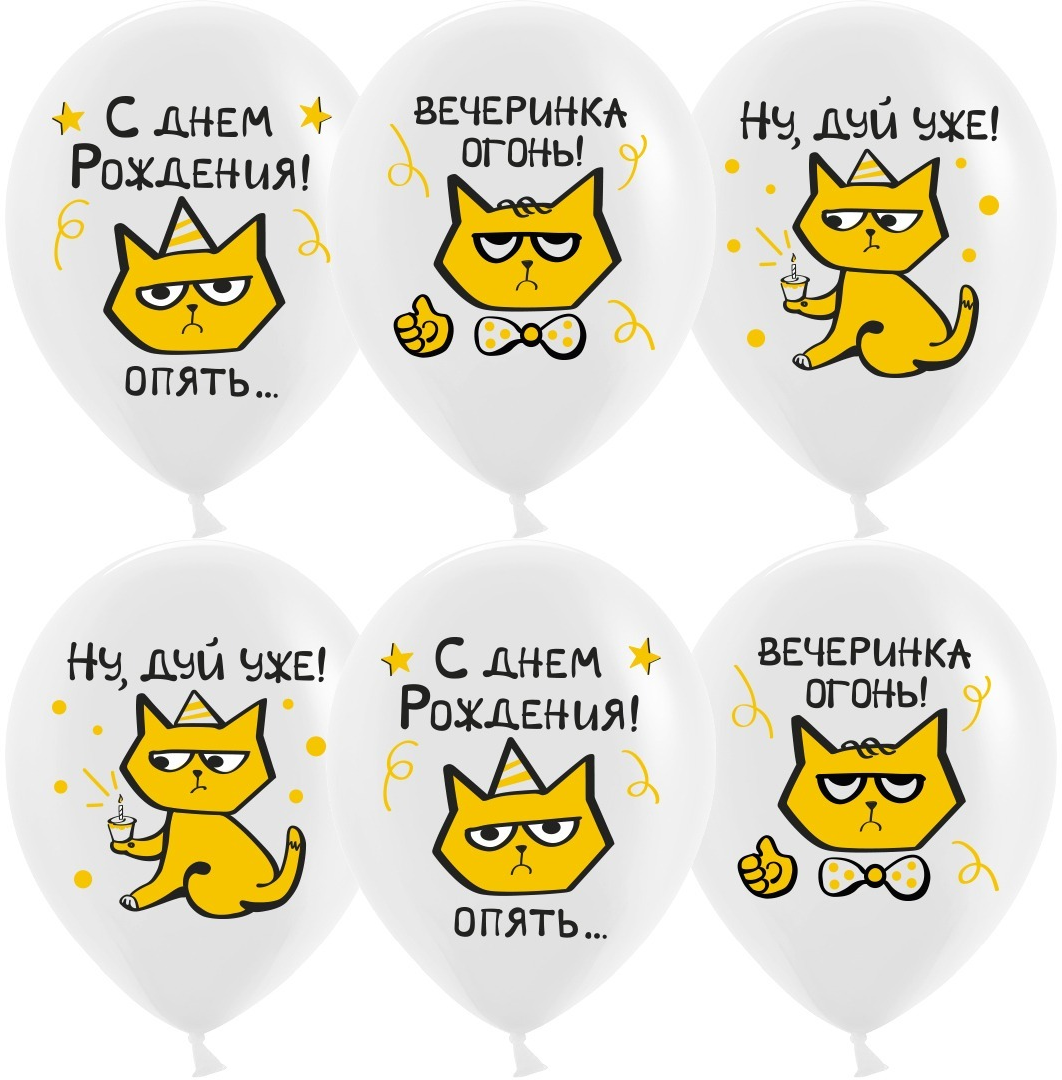 Шар (12'';30 см) С днем рождения!, (рыжий кот), Белый, пастель, 1 ст, (25 шт;уп), 612857