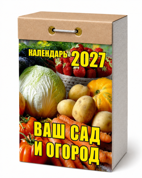ChatGPT Image 8 июн. 2026 г., 12_56_34 (5)
