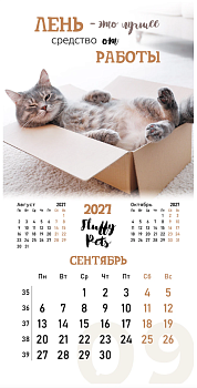 Календарь настенный перекидной 2027 г., BRAUBERG, 12 листов, 28,5х57 см, "Смешные котики", 118430